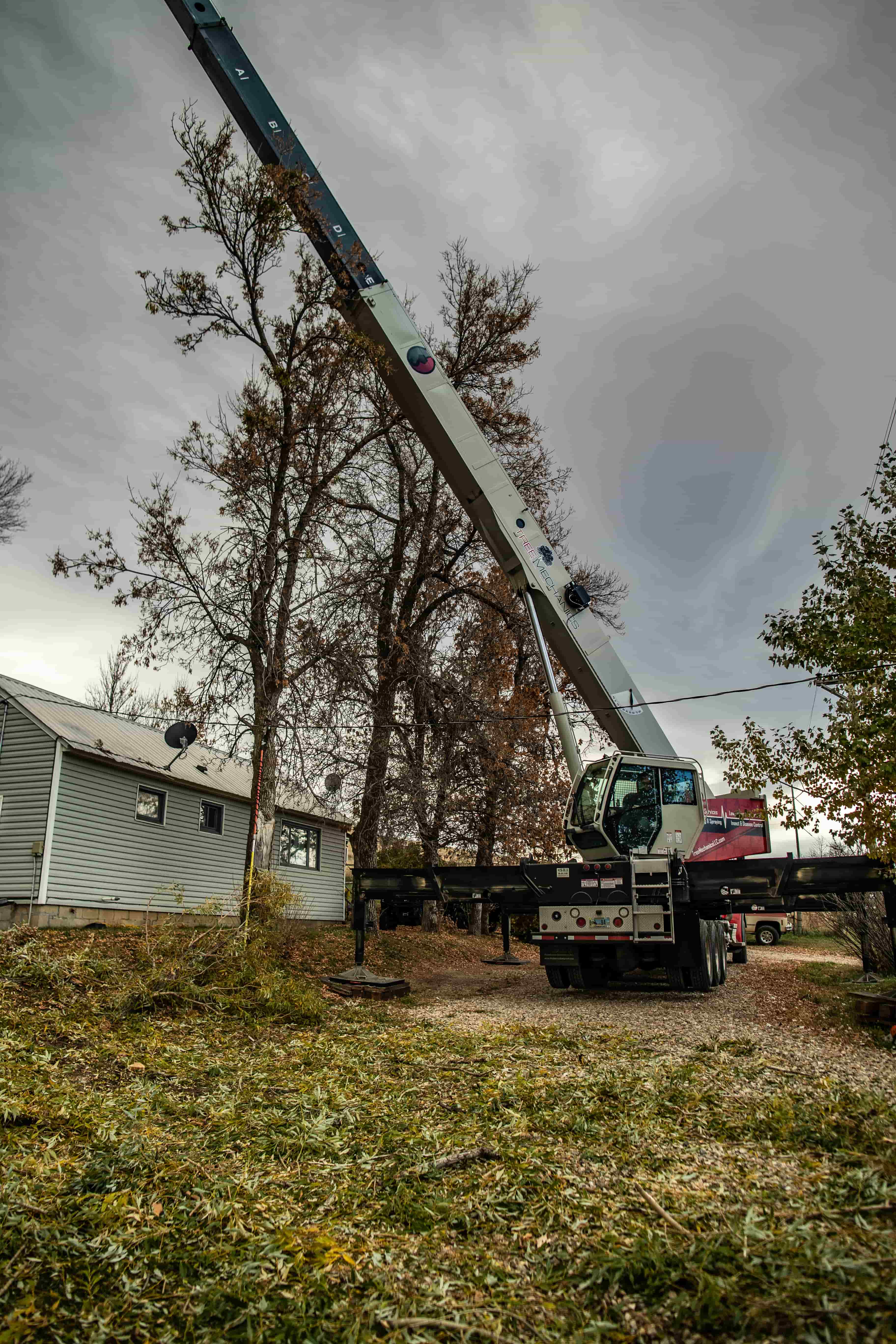 Tree Mechanics LLC Serving Northern Wyoming and South Eastern Montana